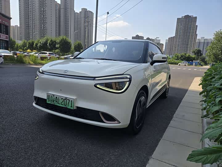 Nano 01 2024 model 330 Plus smart