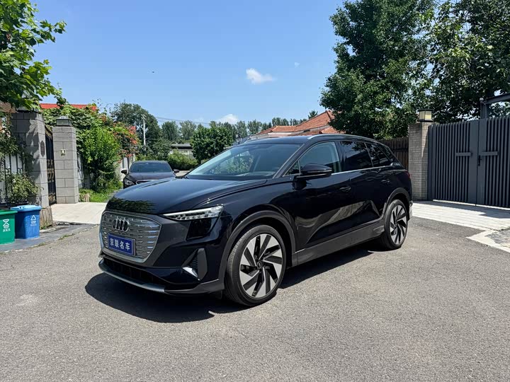 Audi Q5 e-tron 2023 50 e-tron quattro glory type brocade suit