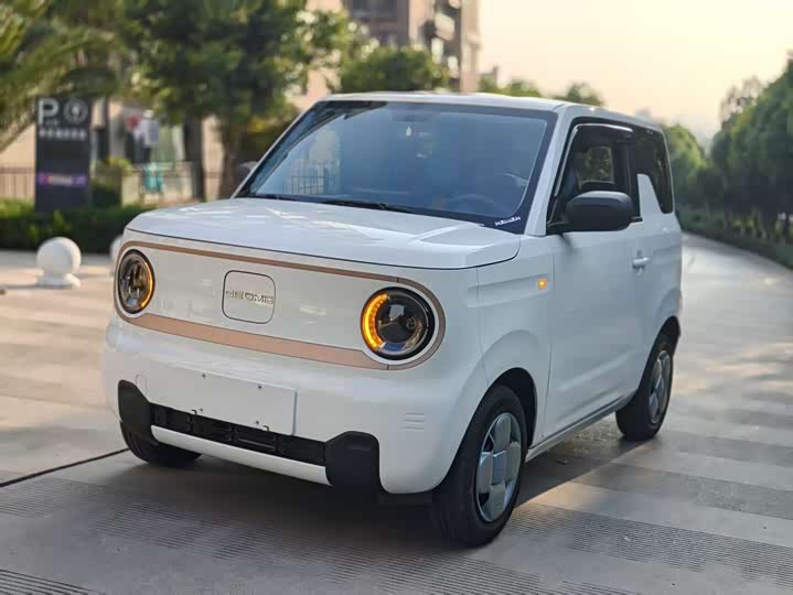 Panda 2024 Panda mini 200km endurance bear