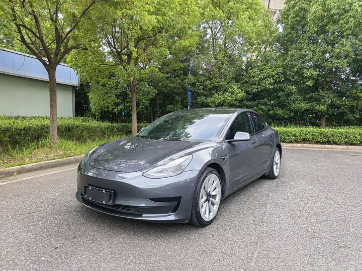 Model 3 2021 facelift standard range rear drive upgraded version 3D1