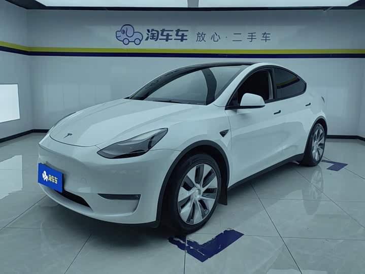 Model Y 2021 standard range rear-wheel drive version