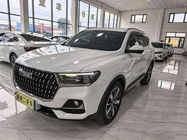 Haval H6 2023 National Fashion Edition 1.5T Automatic Champion Edition