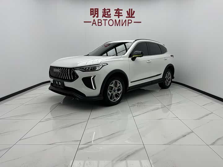 Haval Red Rabbit 2022 Exclusive Edition 1.5T Red Bronze Rabbit