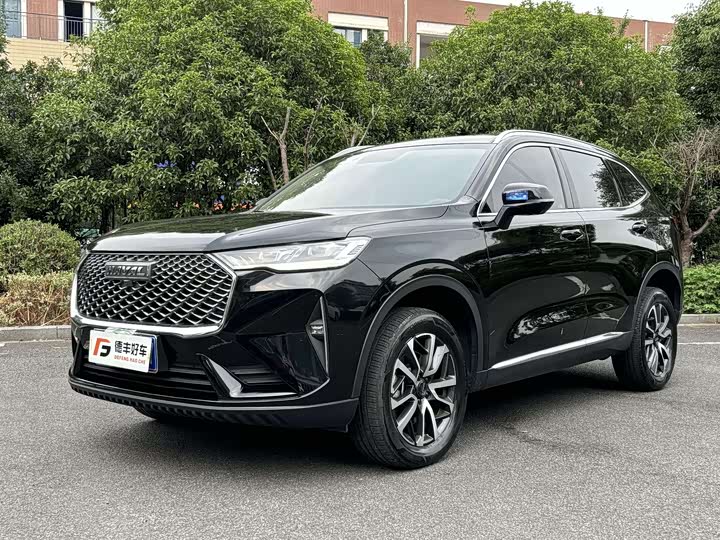 Haval H6 2022 third generation 1.5T automatic two-wheel drive Pro