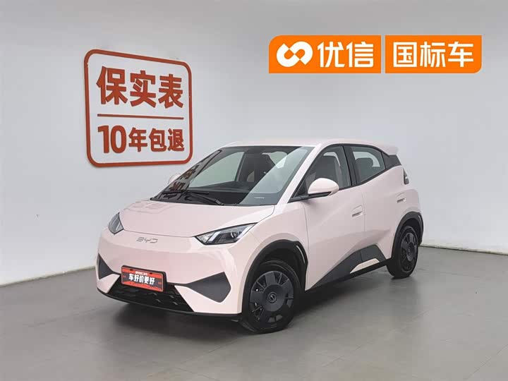 Seagull 2025 Smart Driving Edition 305km Vitality Edition