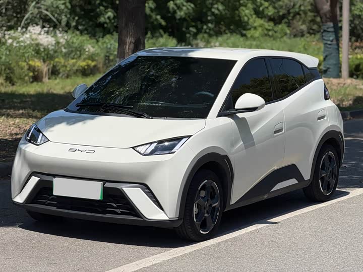 Seagull 2024 Honor Edition 305km Free Edition