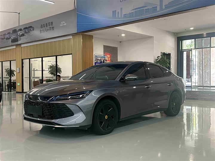 Qin L 2024 DM-i 120KM transcendent model