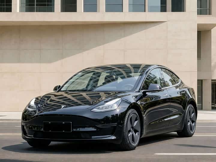 Model 3 2022 rear-wheel drive version