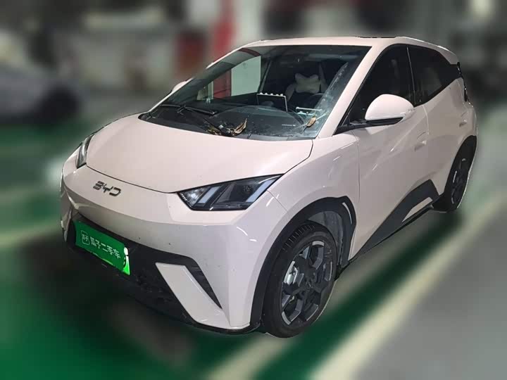 Seagull 2025 305km Free Edition