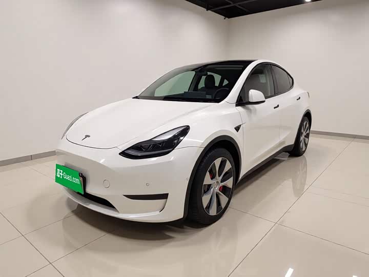 Model Y 2021 standard range rear-wheel drive version