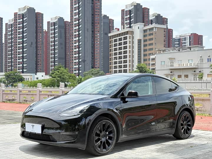 Model Y 2021 standard range rear-wheel drive version
