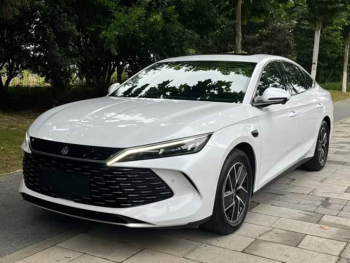 Qin L 2025 DM-i Smart Driving Edition 120KM Transcendent Type