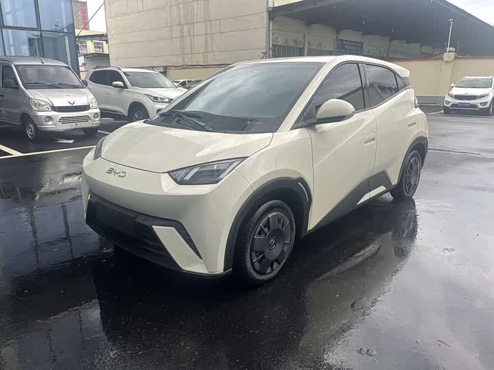 Seagull 2024 Honor Edition 305km Vitality Edition