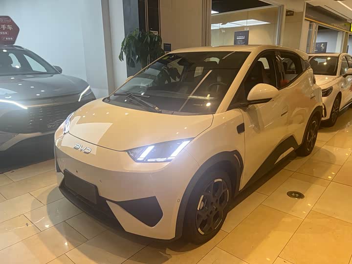 Seagull 2025 305km Free Edition