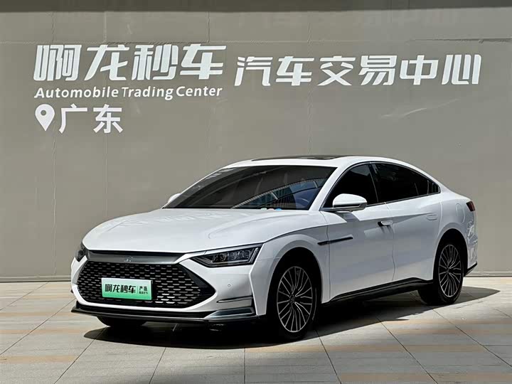 Han 2020 DM 4WD Performance Premium Edition