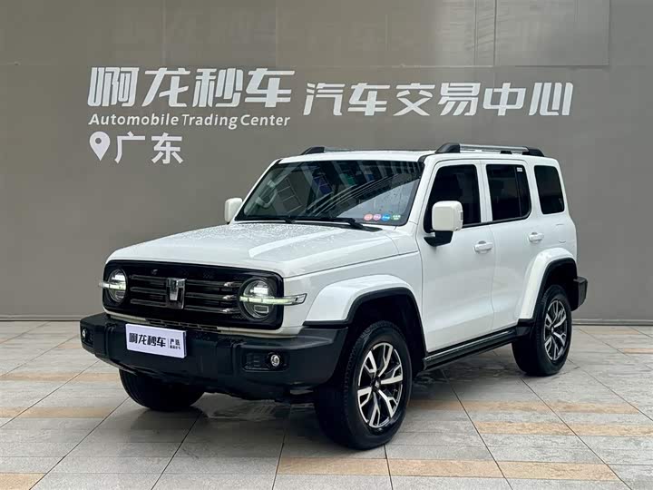 Tank 300 2024 2.0T Traverser