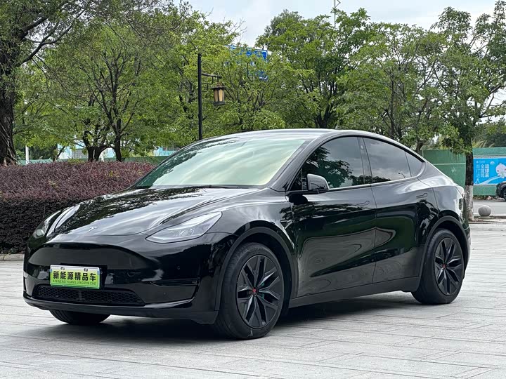 Model Y 2021 standard range rear-wheel drive version