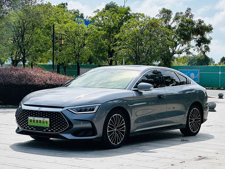 Han 2024 DM-i Honor Edition 121KM Exclusive Type