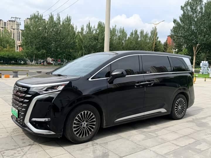 Denza D9 2024 DM-i 980 four-wheel drive premium model