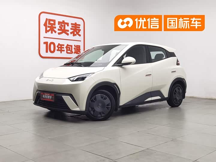 Seagull 2024 Honor Edition 305km Vitality Edition