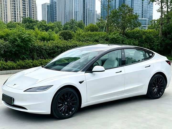Model 3 2025 rear-wheel drive version