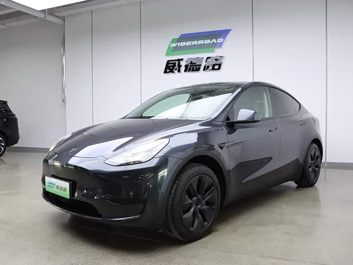 Model Y 2024 rear-wheel drive version