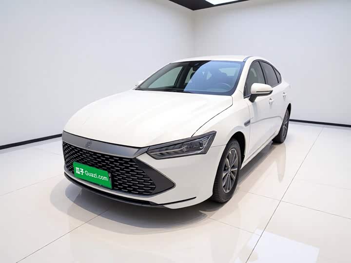 Qin PLUS 2024 Honor Edition DM-i 55KM Leading Type