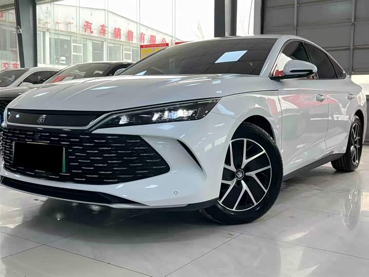 Qin L 2024 DM-i 80KM transcendent model