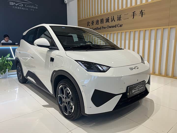 Seagull 2025 305km Free Edition