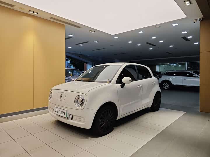 Euler Black Cat 2021 301km Cute Pet Edition