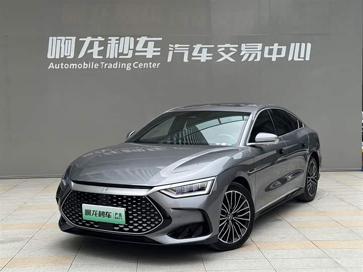 Han 2024 DM-i Honor Edition 121KM Exclusive Type