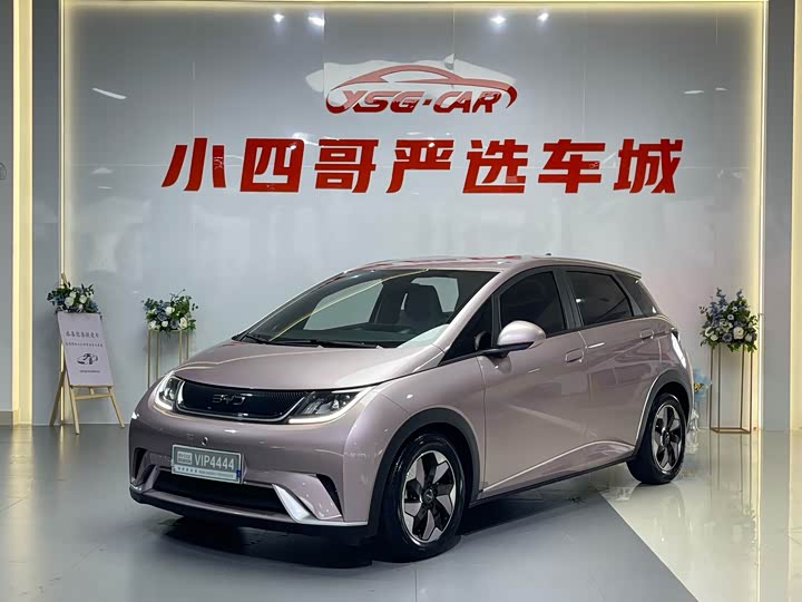 Dolphin 2024 Honor Edition 420km Free Edition