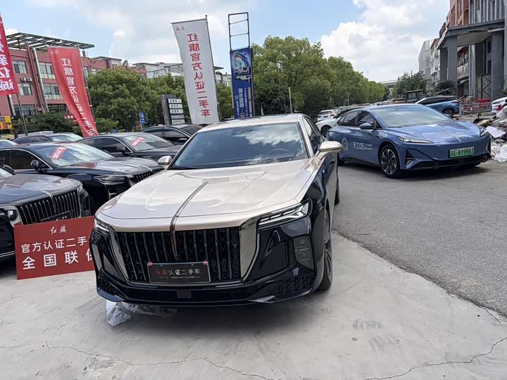 Hongqi H9 2024 2.0T Qixiang Private Fashion Edition