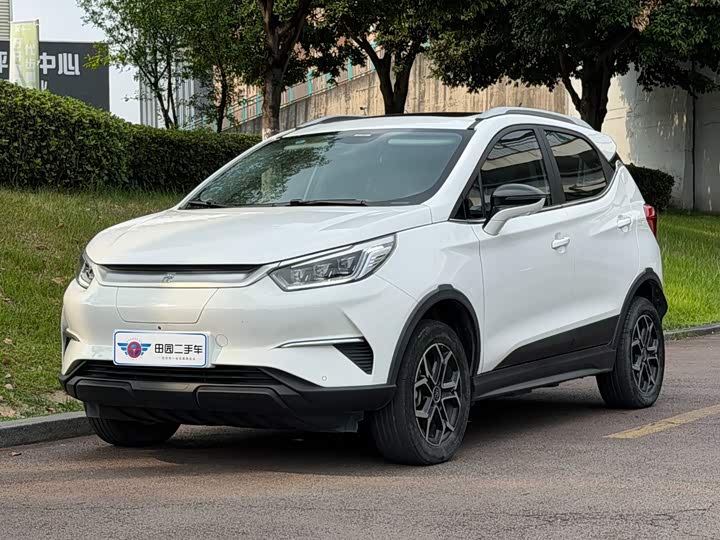 Yuan Pro 2021 Lifetime Edition