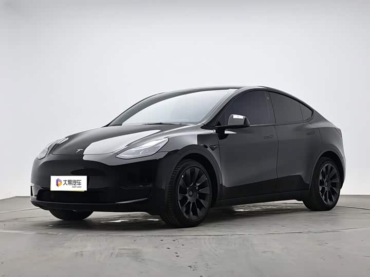 Model Y 2021 standard range rear-wheel drive version