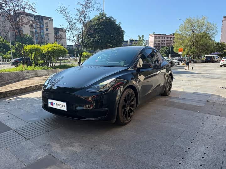 Model Y 2021 standard range rear-wheel drive version