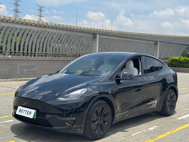 Model Y 2021 standard range rear-wheel drive version
