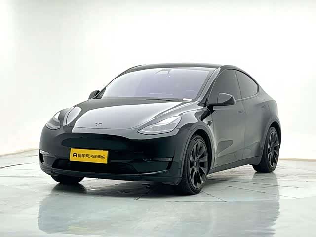 Model Y 2021 standard range rear-wheel drive version