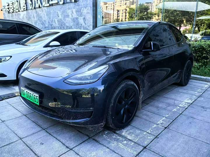 Model Y 2024 long-range all-wheel drive version