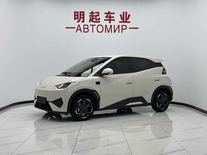 Seagull 2025 smart driving version 405km flying version