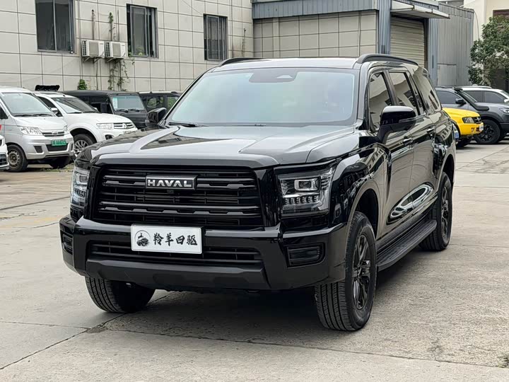 Haval H5 2025 2.0T automatic four-wheel drive pilot version diesel