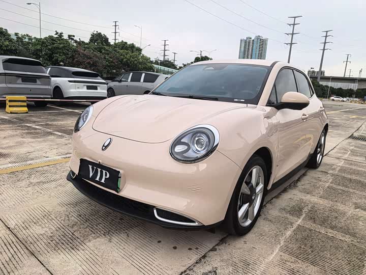 Euler Good Cat 2024 401km Luxury Model