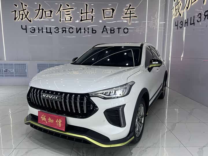 Haval Red Rabbit 2022 Exclusive Edition 1.5T Red Bronze Rabbit