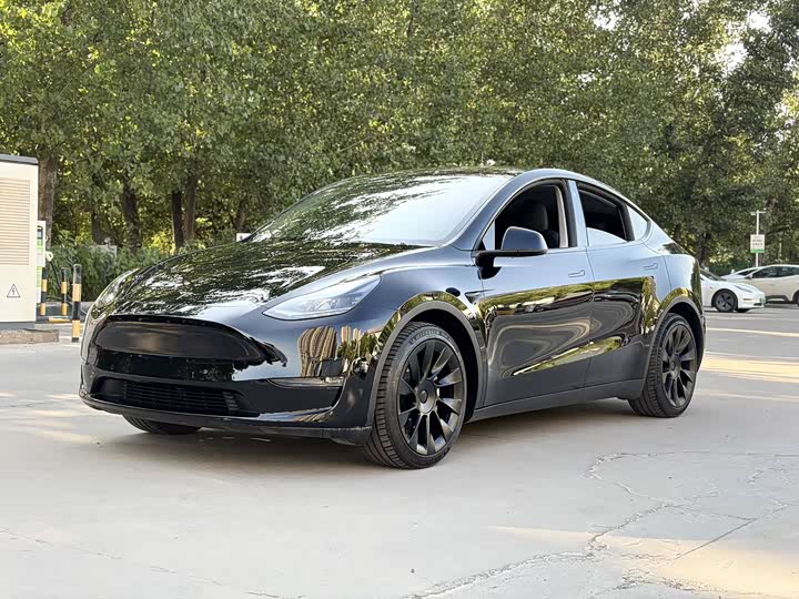 Model Y 2021 standard range rear-wheel drive version