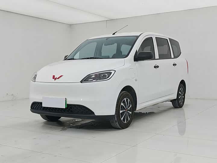 Wuling Hongguang New Energy 2024 Pure Electric Version 300KM Standard Type