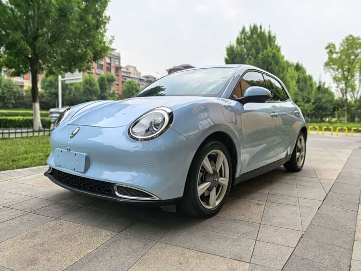 Euler Good Cat 2022 model 400km standard battery life luxury model lithium iron phosphate