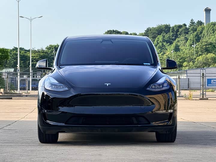 Model Y 2021 standard range rear-wheel drive version