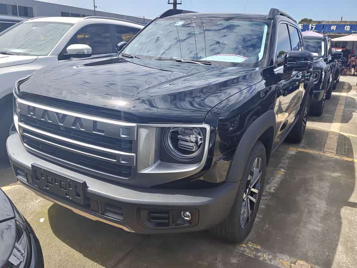 Havaldog 2024 1.5T DCT Labrador Edition