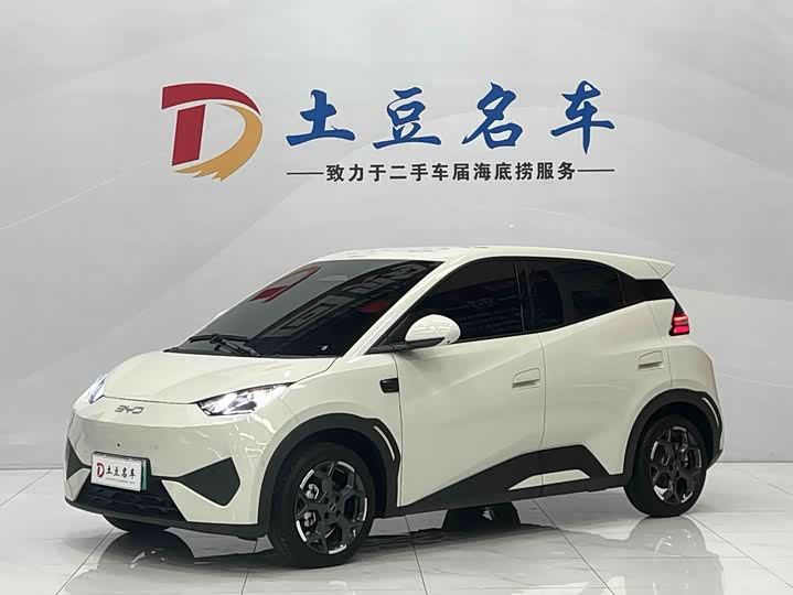 Seagull 2025 smart driving version 305km free version