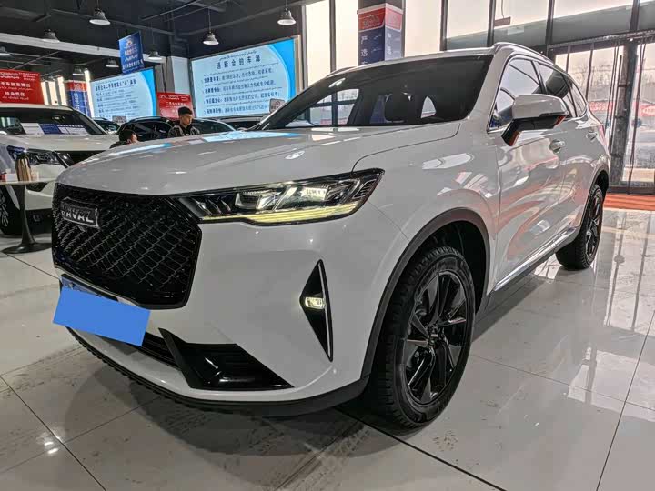 Haval H6 2021 third generation 2.0T automatic two-wheel drive Max